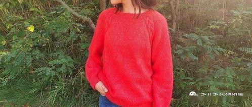 成人毛衣怎么绣花视频