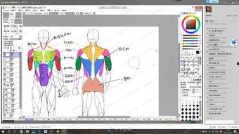 成人基础元素教学视频,轻松掌握核心知识
