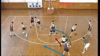 成人基础篮球教程视频